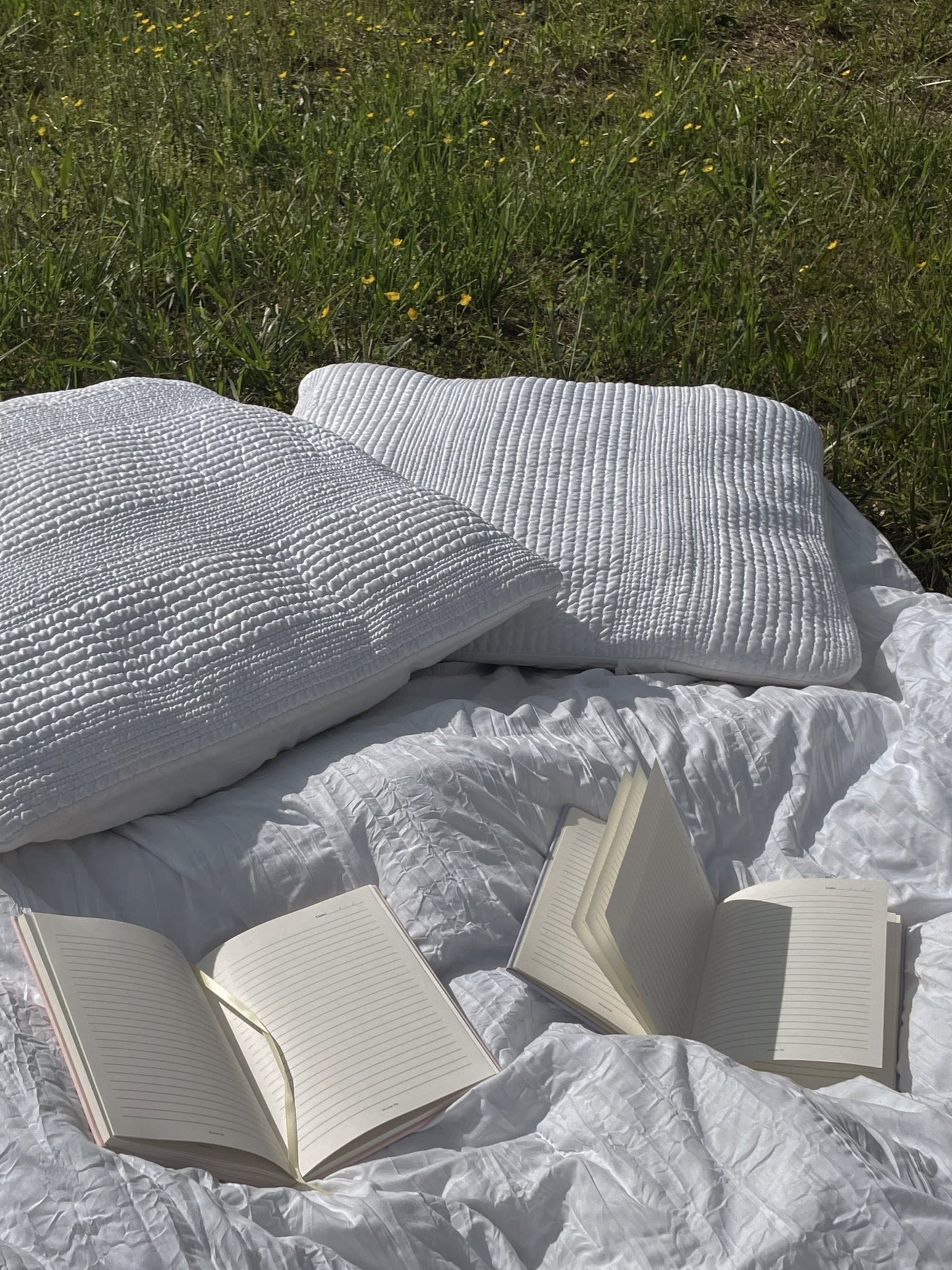 The Dreamer Journal - Dream DailyDream Daily