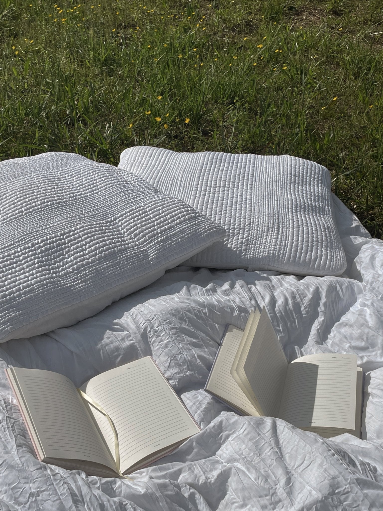 The Dreamer Journal - Dream DailyDream Daily